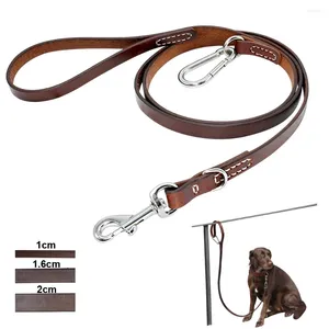 Collares de perros Pitbull de cuero correa duradera grande con hebilla de montañismo con correa para mascotas al aire libre para perros medianos
