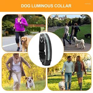 Colliers de chien LED Collar Light Anti-Lost pour chiens chiots Night Supplies Luminal Products Pet Products Accessoires Multi-couleur Puppy