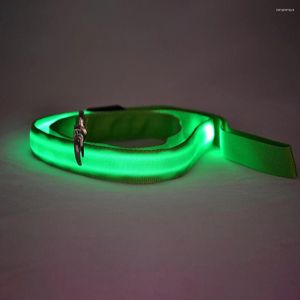 Les colliers de chien éclairent les fournitures pour animaux de compagnie USB Charges modes réglables nocturnes Visible LED éclatante LEASH ACCESSOIRES LUMINES SAFIAGES NYLON NYLON