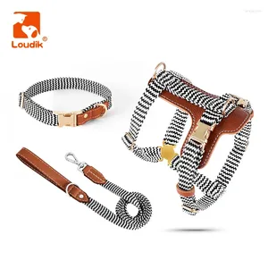 Colliers de chien harnais Loudik-Luxury et laisse Petit collier de compagnie de compagnie moyen personnalisé Recycle de cuir en cuir en gros