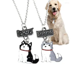 Collares para perros Collar con colgante para mujeres 2 piezas Etiqueta de dibujos animados Perros Gatos Use regalos conmemorativos únicos Amigos Familia