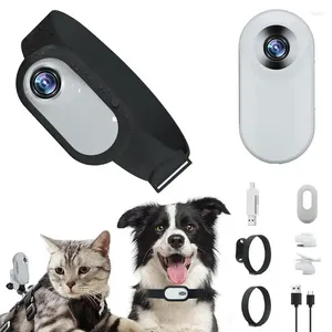 Colliers pour chiens et animaux de compagnie, caméra HD 1080p, Mini sport avec écran d'enregistrement vidéo, fournitures de sécurité sans fil pour chats en plein air