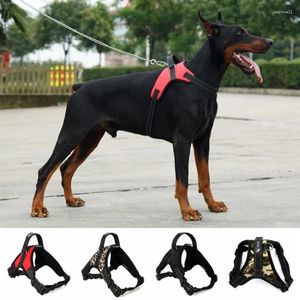 Colliers pour chiens laisse le faisceau de gilet anti-explosion durable pour un chiot entraîne de marche en plein air corde de sécurité thoracique