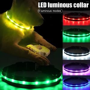 Colliers de chien Collier d'éclairage LED PET RECHARGÉable Sénalisation nocturne étanche Flash APPROSVANT FLUOSCENT ANTI-LOSS