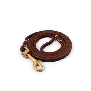 Colliers pour chiens laisse de marche pour animaux de compagnie harnais en cuir collier d'animal sûr petit approvisionnement en cours d'exécution Portable léger ceinture de sécurité crochet de chaîne