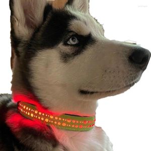 Colliers pour chiens PREMIUM robuste RECHARGEABLE LED lumineux collier lumineux sécurité pour animaux de compagnie MICRO USB réglable brillant nuit Safet