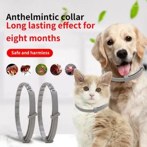 Collares para perros libera collar para mascotas protección contra pulgas y garrapatas meses se puede ajustar automáticamente accesorios para perros