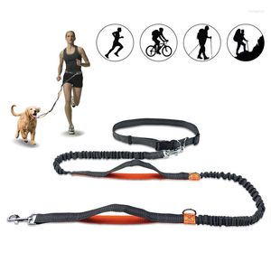 Collares para perros Correa retráctil Manos libres Bungee Correas para mascotas Arnés para perros Collar Jogging Correa de doble manija y cuerda de cintura ajustable