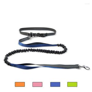 Colliers pour chiens Corde de traction Nuit Ceinture mains libres en nylon élastique réfléchissant pour courir avec étirement de jogging