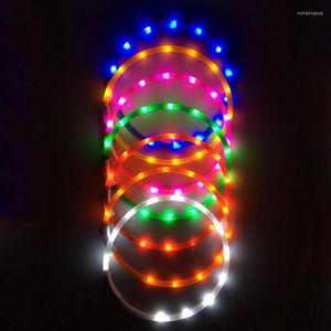 Collares para perros con carga USB, Collar para mascotas, LED ajustable, recargable, intermitente nocturno, cuello sólido de plástico luminoso para perros