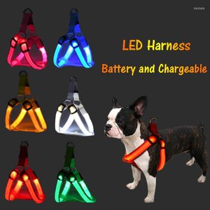 Colliers de chien Harnais LED USB Lumière rechargeable Chat de compagnie Marche Laisse Gilet Sangle de cou de sécurité Nylon Accessoires clignotants pour chèvres en peluche