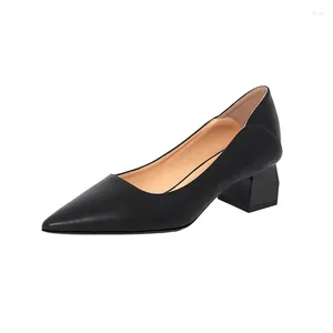 Zapatos de vestir 2024 Primavera Puntiagudo Tamaño pequeño 31-43 Tacones altos Mujeres Tacón de bloque Negro Beige Damas