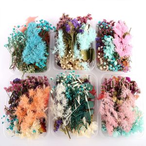 Fleurs séchées 1 boîte de couleur aléatoire Real Plant de fleurs colorées pour aromathérapie Collier bijoux artisanat DIY Bougie époxy Résine Pendant 230111