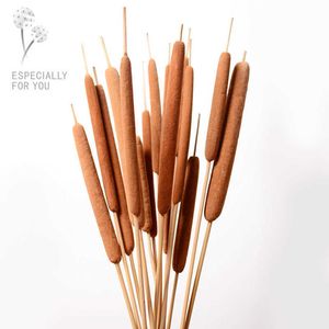 Flores secas, 10 Uds./40cm, Typha angustifoliall Natural Eternell, flor de exhibición DIY, arreglo de boda para el hogar, decoración, accesorios para fotos