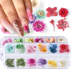 Décorations d'art d'ongle de fleurs séchées Autocollants de feuilles florales sèches naturelles Multi Color 3D Nail Art Designs Sticker Set d'outils de manucure polonais