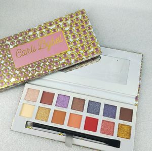 Paleta de maquillaje Marca de alta calidad Sombra de ojos 14 colores Paleta de sombras de ojos Instock