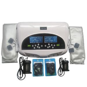 Système de nettoyage de Spa de bain de pieds ionique à double Machine de désintoxication cellulaire Pro ionique avec masseur coussinets d'acupuncture ceinture de poignet