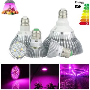 E27 LED Grow Light 6W 10W 30W 50W 80W LEDS SPECTRUM FULL LUDS 85-265V Bulbes LED pour les plantes de jardin intérieures Flower LL