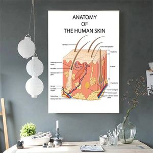 Anatomía educativa La piel humana Universidad Arte Lienzo Pintura Pósteres Impresiones Imagen de la pared Oficina Clínica Decoración del hogar 240327