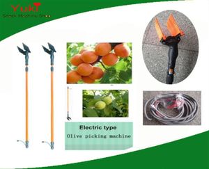 Cosechadora de aceitunas eléctrica para máquina cosechadora de aceitunas de 12V, cosechadora de frutas, coctelera de frutas pequeñas de nogal, 285t1052344