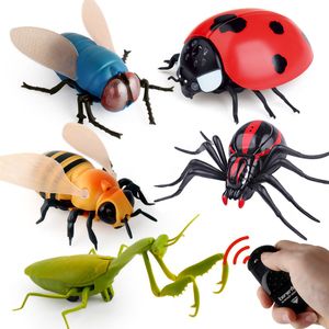 ElectricRC Animals RC dier infrarood afstandsbediening Simulatie insect model speelgoed Elektrische robot Halloween Prank Insecten kinderen spider bee fly 221201