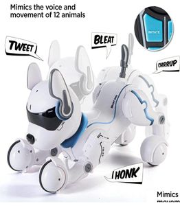 Electricrc Animals RC Remote Control Robot Dog Toys with Touch Fonction and Voice Smart Dancing imite Animals Mini Pet Program5095351