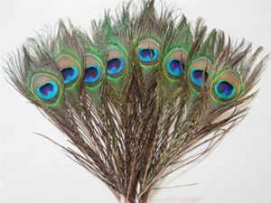Materiales decorativos elegantes Pluma de pavo real natural real Hermosas plumas de aproximadamente 25 a 30 cm