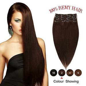 Elbess Clip dans des extensions de cheveux Vierge Humain Hair Brown Tête Full Head 8pcs Set 100g Remy Cheveux humains