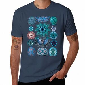 Ernst Haeckel Ascidiae Sea Squirts camiseta azul ropa estética fi coreana llano personalizado camisetas ajustadas para hombres P6v0 #