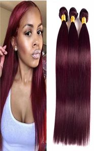 Paquetes de cabello humano europeo 99j Extensiones de cabello borgoña Paquetes de cabello liso de seda rojo vino 8a Grado de alta calidad con precio barato 1342088