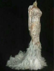 Robe de soirée Yousef aljasmi Kim kardashian Manches longues O-Neck Feather orstrich Beaded Mermaid Almoda gianninaazar ZuhLair murad Ziadnakad