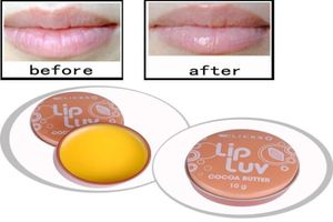 hydratation quotidienne des lèvres BEURRE DE CACAO baume à lèvres enrichi en vitamine E Luv 2121988643212