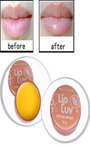 hydratation quotidienne des lèvres BEURRE DE CACAO baume à lèvres enrichi en vitamine E Luv 2121984458329