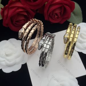 Exquisito regalo Joyería Viper Serpent Style Pulsera de diseñador Charm de moda Brazalete de diamantes en oro Oro rosa y plata de alta calidad