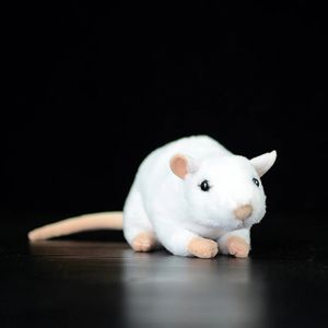 Extra Soft Real Life White Rat Plances en peluche Réaliste Mouse Farmed Animaux Farm Touts Pet Souils Cadeaux Educational Toys for Kids 240507
