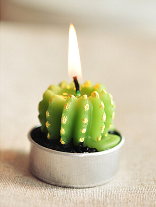 Whole Rare Mini Cactus Candles Plant Decor Home Table Garden 6pcslot kawaii Decoration Factory expert design Quali5392047