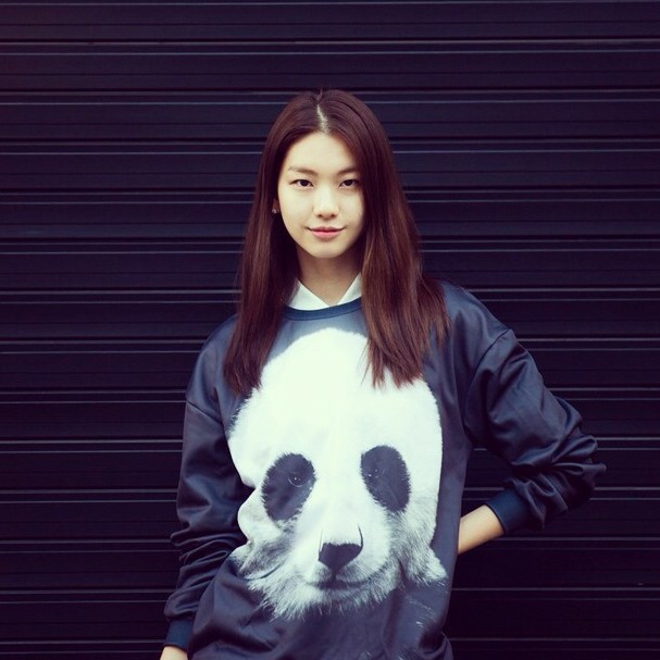 FG 1509 Raisevern 2015 Women/Men the panda Pullovers Funny 3d sweatshirts animal galaxy sweats Hoodies top