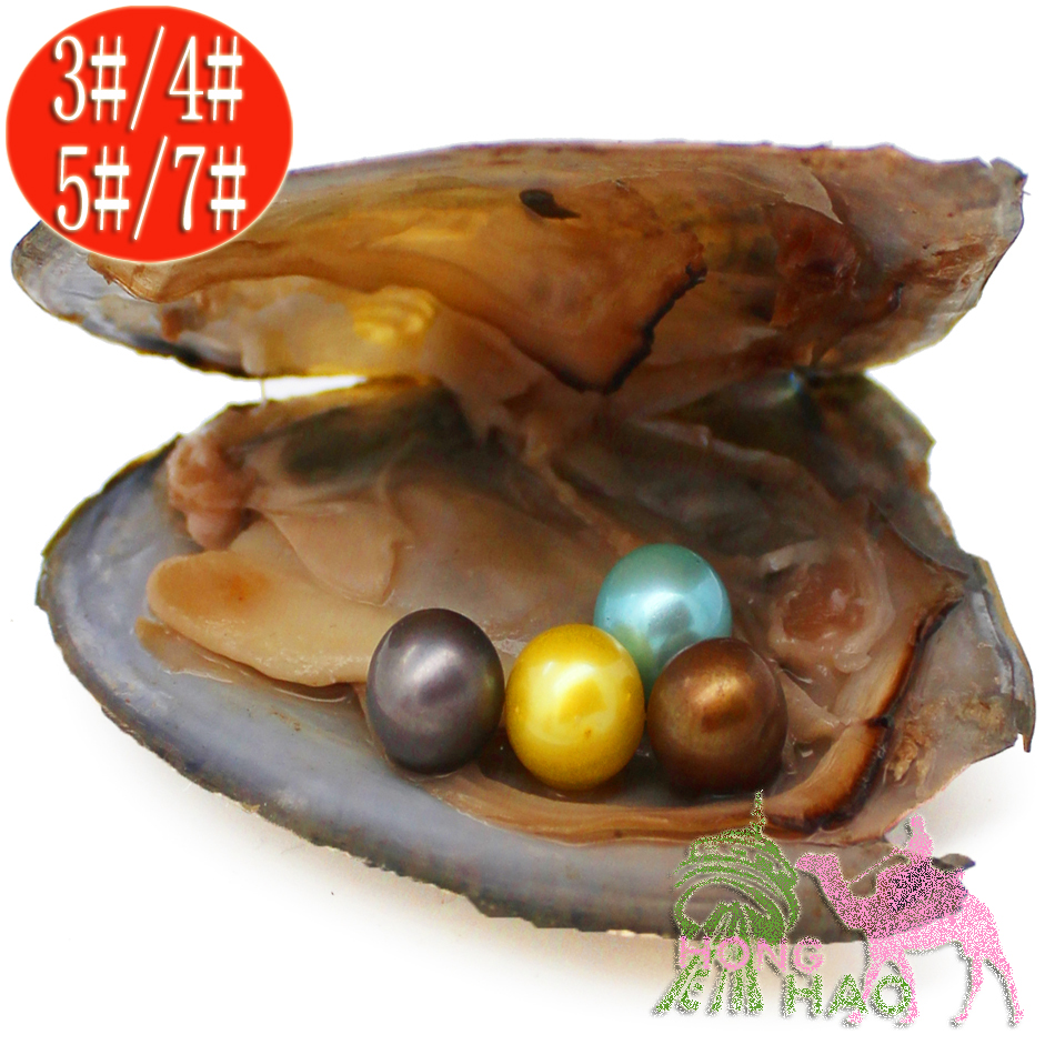 Free Shipping Jewelry Gifts Shell Pearls Oysters Vacuum Packed 6-7mm Round AAAA100% Natural Pearl Oyster Monster
Free Shipping Jewelry Gifts Shell Pearls Oysters Vacuum Packed 6-7mm Round AAAA100% Natural Pearl Oyster Monster