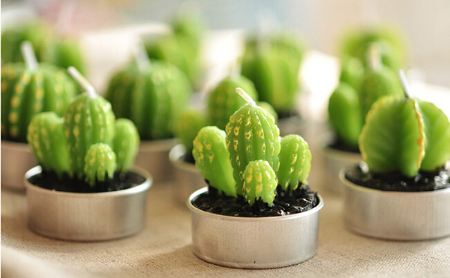 Whole Rare Mini Cactus Candles Plant Decor Home Table Garden 6pcslot kawaii Decoration Factory expert design Quali5392047