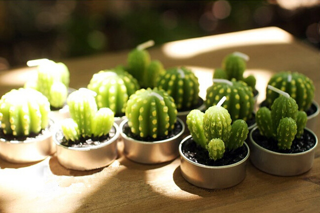 Whole Rare Mini Cactus Candles Plant Decor Home Table Garden 6pcslot kawaii Decoration Factory expert design Quali5392047