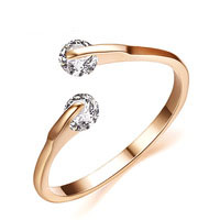 Free shipping Full Sizes Wholesale 18K Rose Gold Plated Fashion Design Twin Zircon CZ Diamond Branded Engagement/Wedding Rings for Woman
Free shipping Full Sizes Wholesale 18K Rose Gold Plated Fashion Design Twin Zircon CZ Diamond Branded Engagement/Wedding Rings for Woman