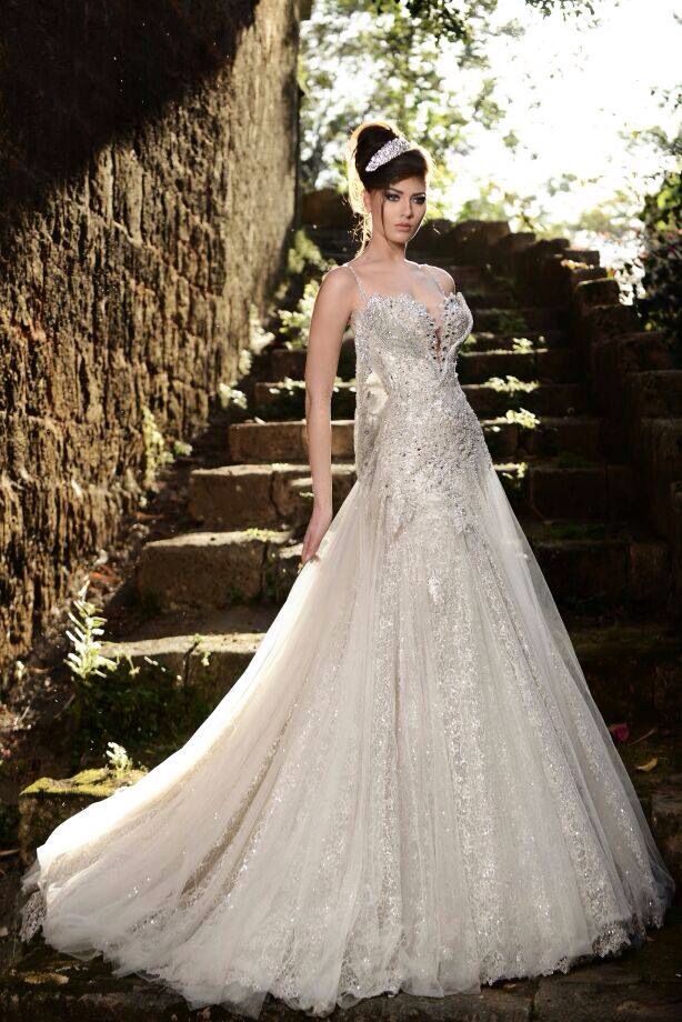 High Quality Ellie Saab Wedding Dress 2015 Formal Floor Length Backless Sexy Cheap Online Beach Applique A-Line Sleeveless Wedding Dresses