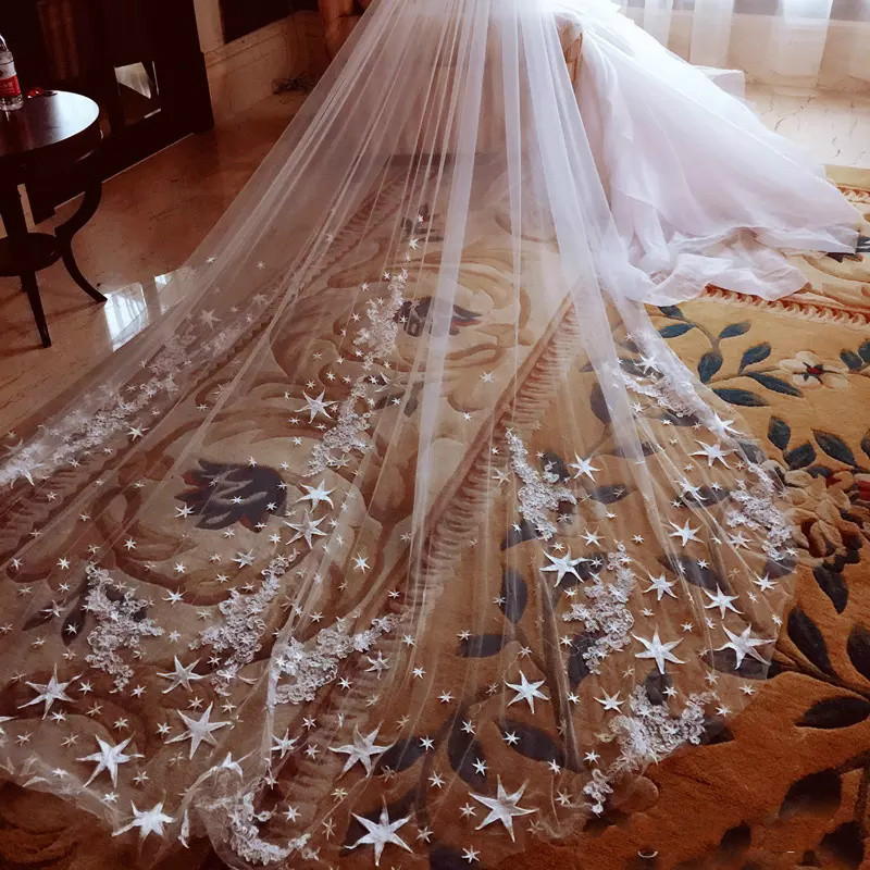 Cathedral Length Long Wedding Veils Bridal Veil Two Layers 3M Length Star Applique Wedding Veil With Comb