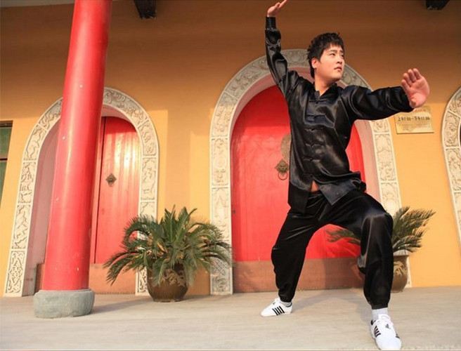 New Polyester Chinese Tai Chi Kung Fu Wing Chun Martial Art Suit Coats Jacket Uniform Costume