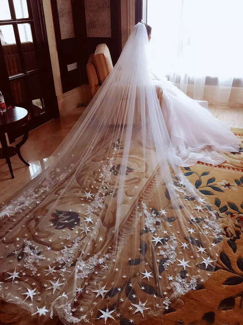 Cathedral Length Long Wedding Veils Bridal Veil Two Layers 3M Length Star Applique Wedding Veil With Comb, White
Cathedral Length Long Wedding Veils Bridal Veil Two Layers 3M Length Star Applique Wedding Veil With Comb, White