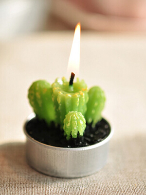 Whole Rare Mini Cactus Candles Plant Decor Home Table Garden 6pcslot kawaii Decoration Factory expert design Quali5392047