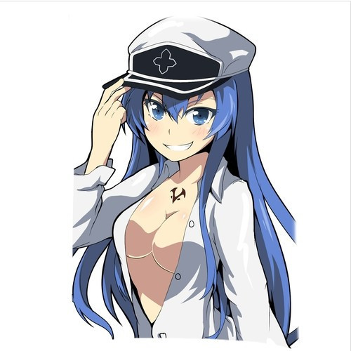 Esdeath Akame Ga Kill Wiki Fandom Powered By Wikia