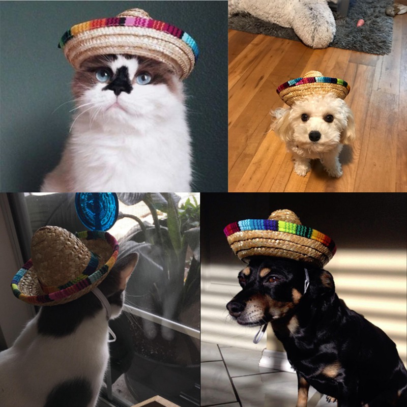 Pet Woven Straw Hat Costume for Dogs Adjustable Sun Hat for Small Dogs and Cats to Act Cute