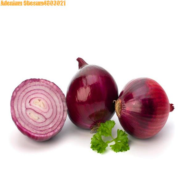 Hot Sale Seeds!Christmas plant flowers Potted gift, 100 pcs giant onion fruit and vegetable Bonsai plants Rare green healthy plant potted
Hot Sale Seeds!Christmas plant flowers Potted gift, 100 pcs giant onion fruit and vegetable Bonsai plants Rare green healthy plant potted