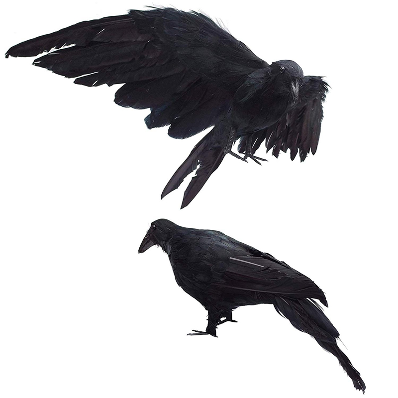 Crows 2-Pack Realistic Figurines Extra Large Handmade Black Feathered Crow for Halloween Decorations Birds, L (13 Inch+12 Inch) & Miniatures
Crows 2-Pack Realistic Figurines Extra Large Handmade Black Feathered Crow for Halloween Decorations Birds, L (13 Inch+12 Inch) & Miniatures